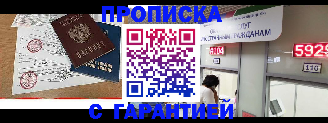 где прописаться в Коле