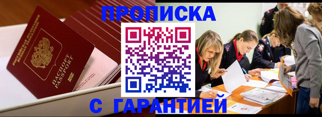 где прописаться в Коле